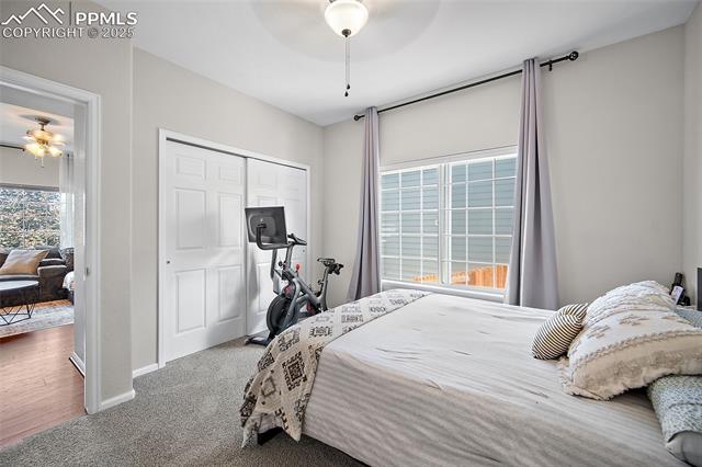 3850 Springs Ranch Drive