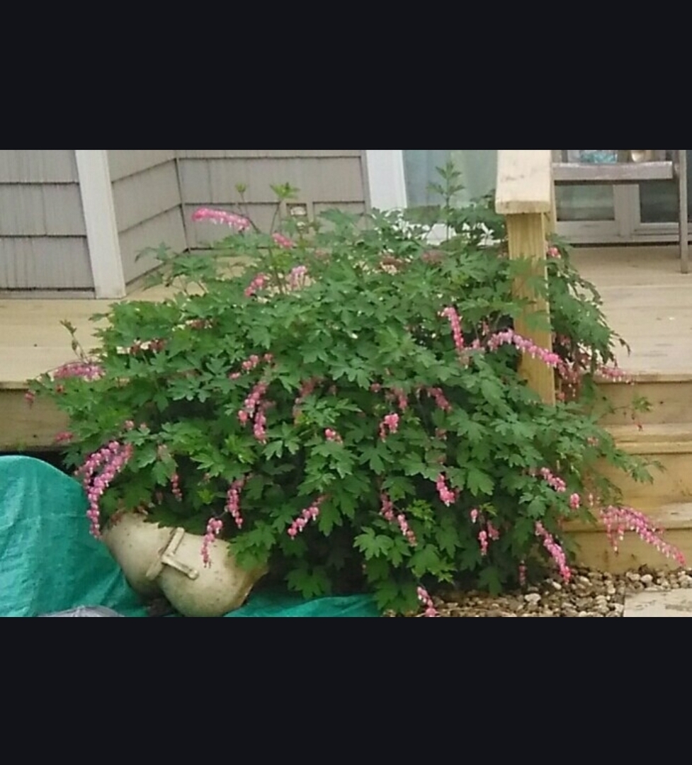 1928 Blackthorn Drive Unit: 1