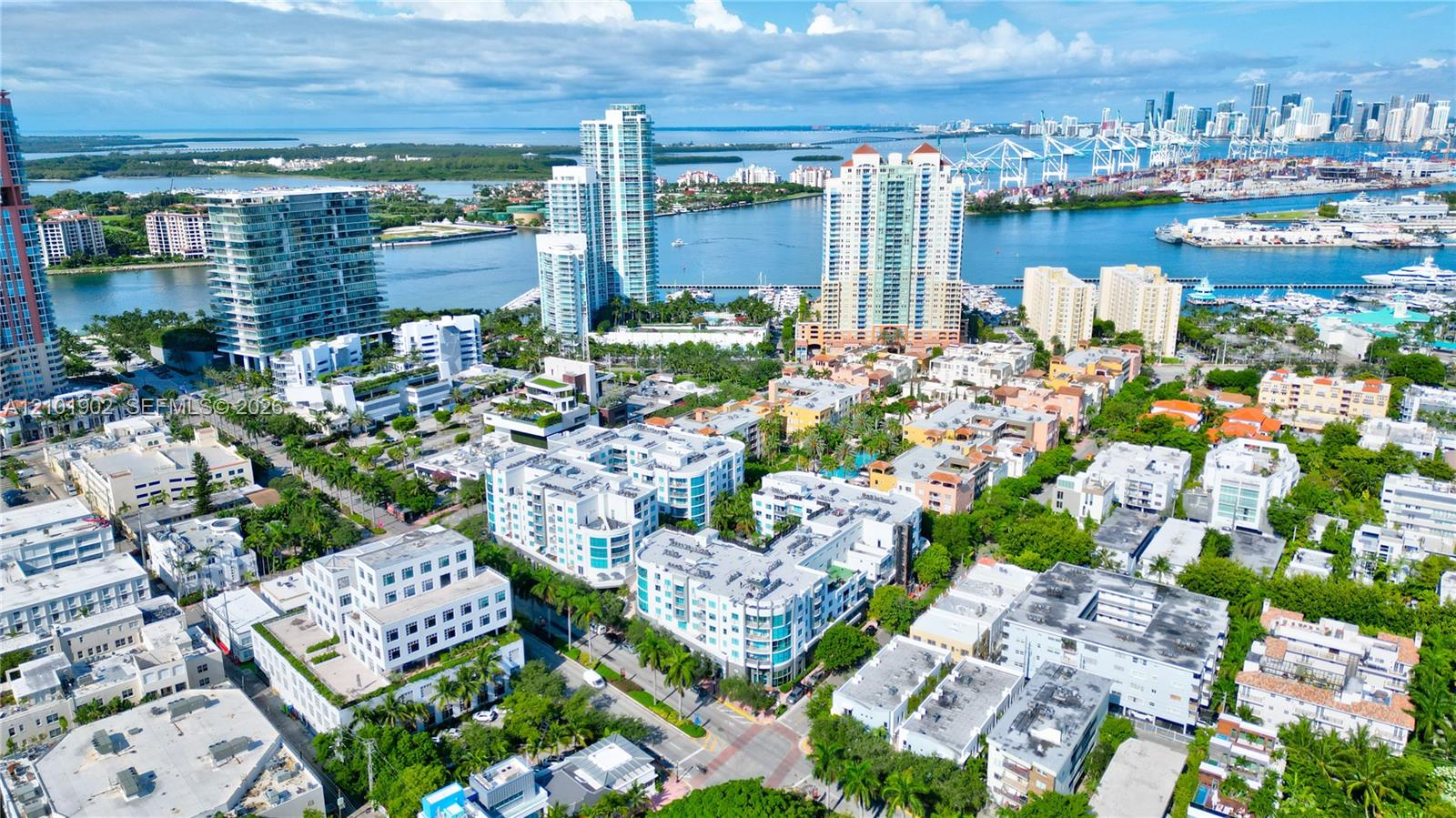 Aerial waterfront view of city buildings, bay, port, and distant skyline.