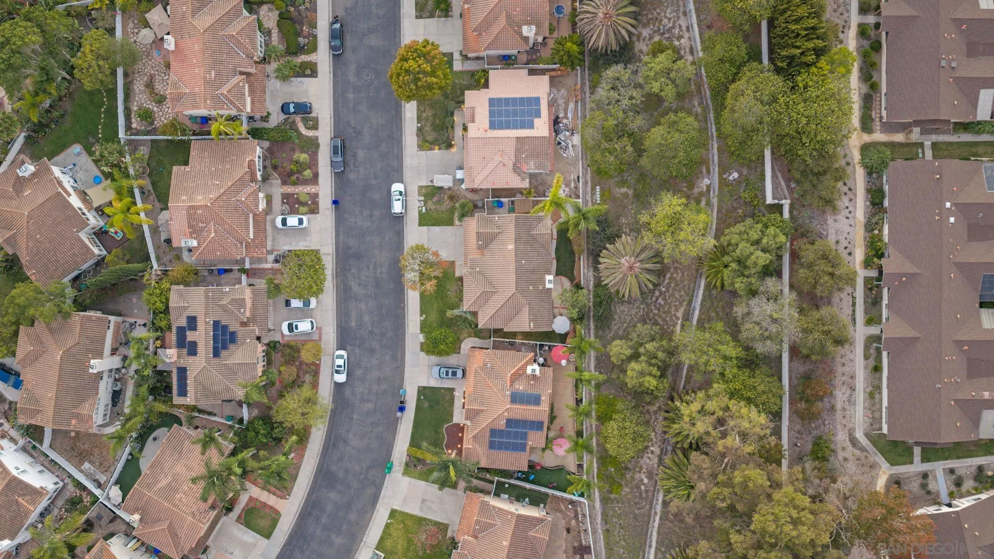 Aerial view of homes along a residential street beside a large tree-covered lot.