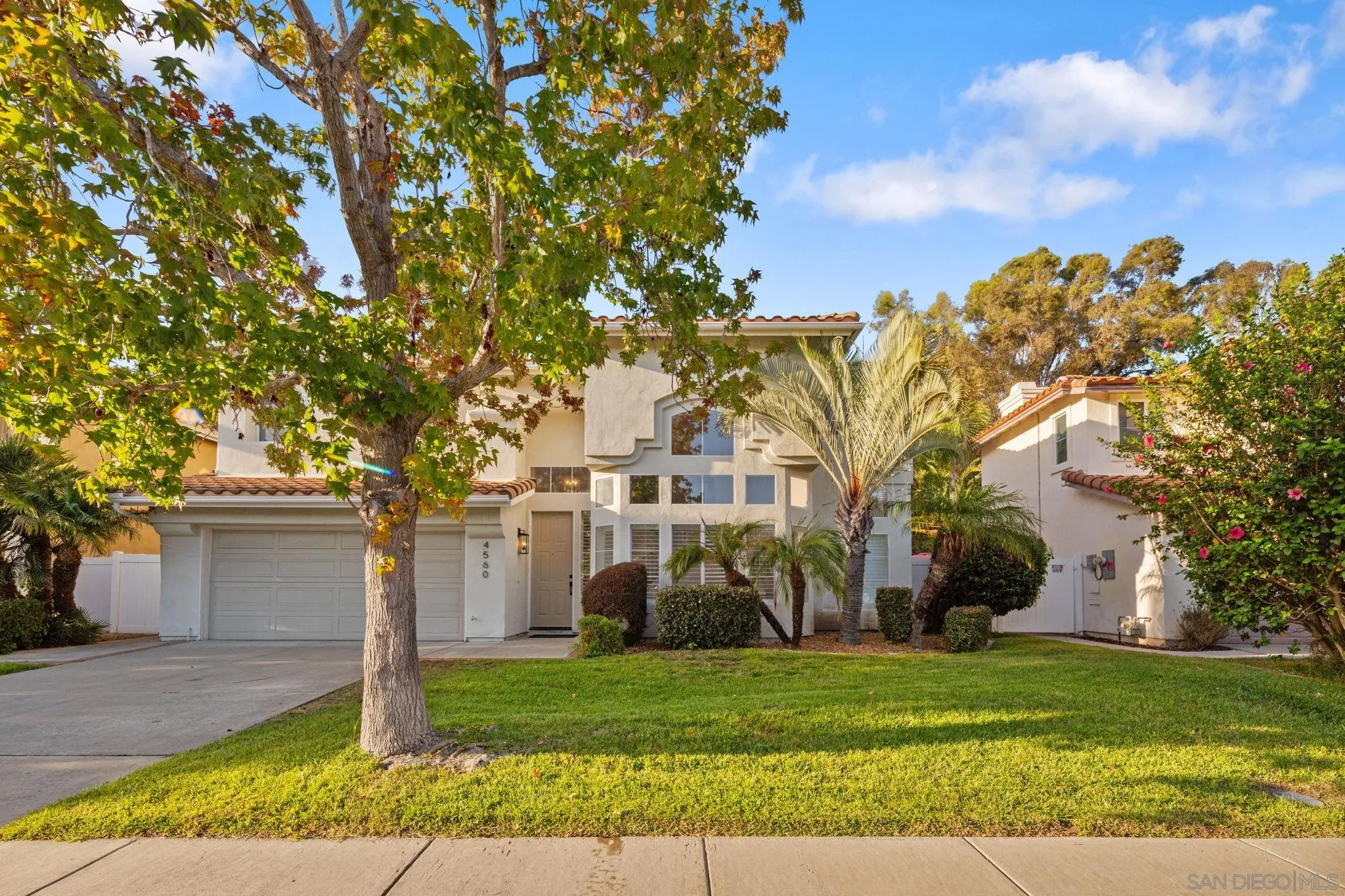 Two-story house with a double garage, leafy front yard, and palms.
