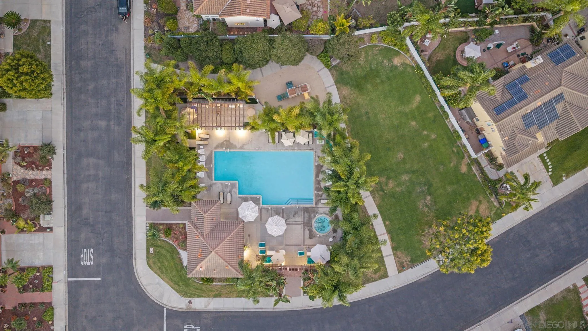 Aerial view of a palm-lined pool and spa beside a landscaped lawn and neighboring homes.