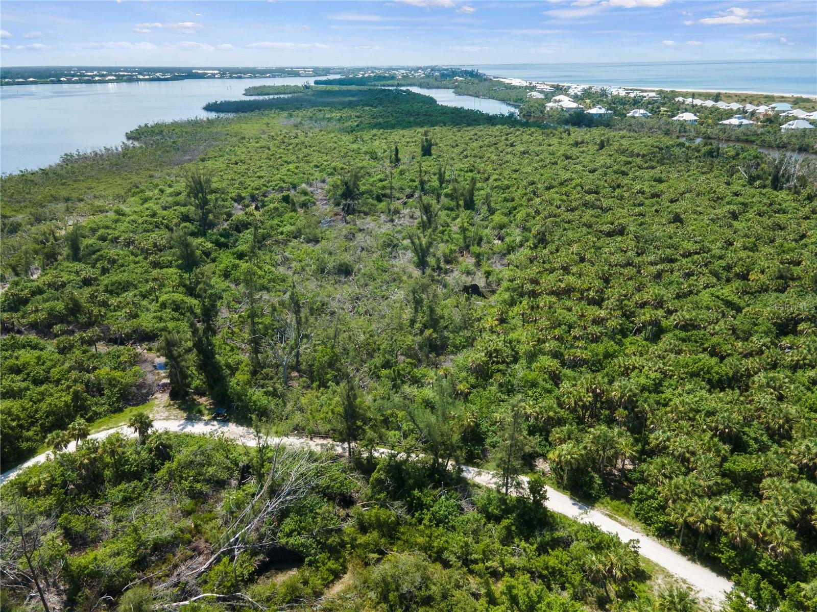 PALM POINT WAY
