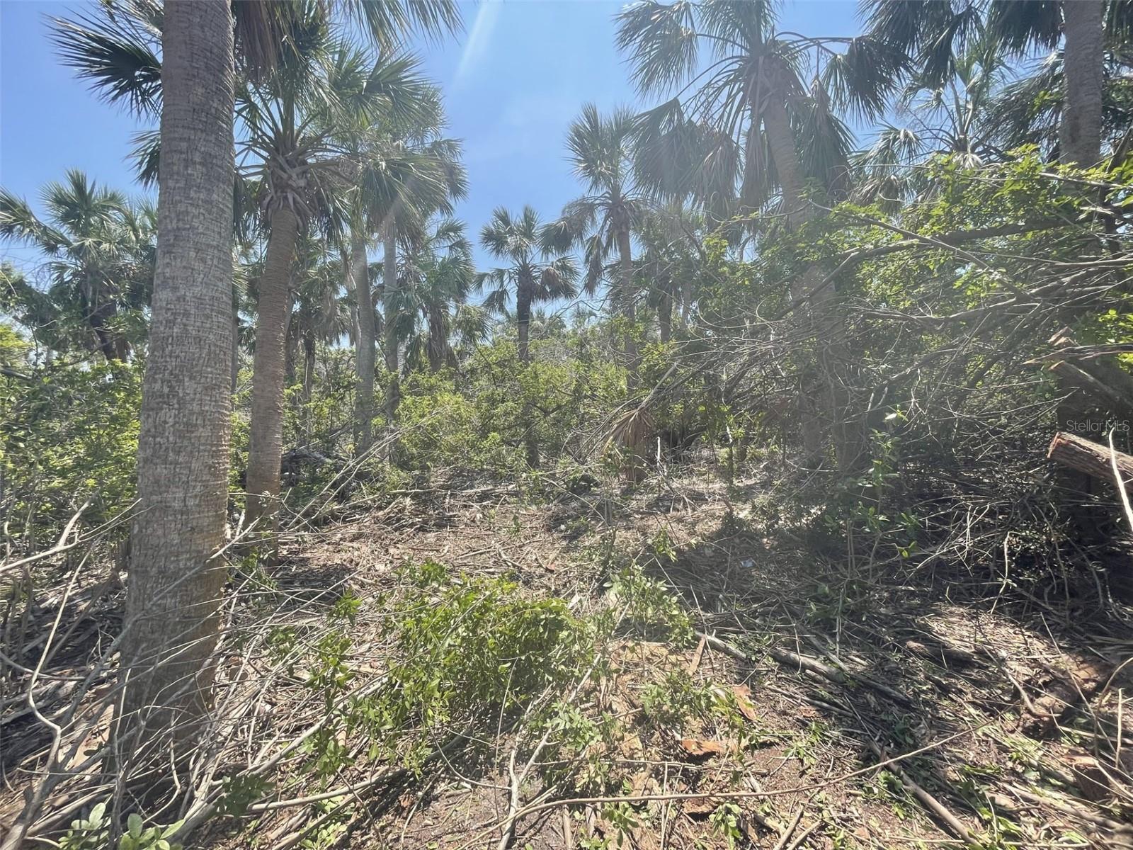 PALM POINT WAY