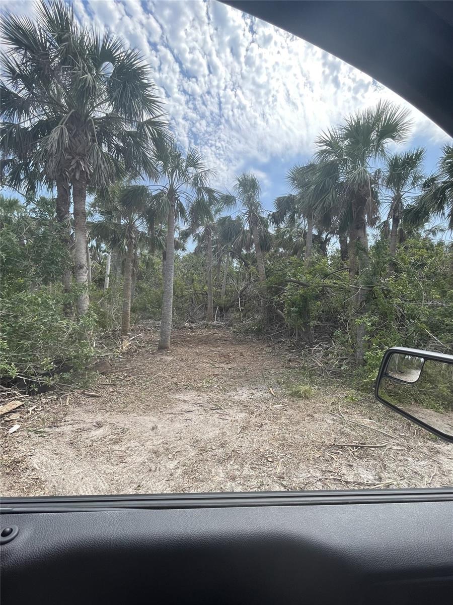 PALM POINT WAY