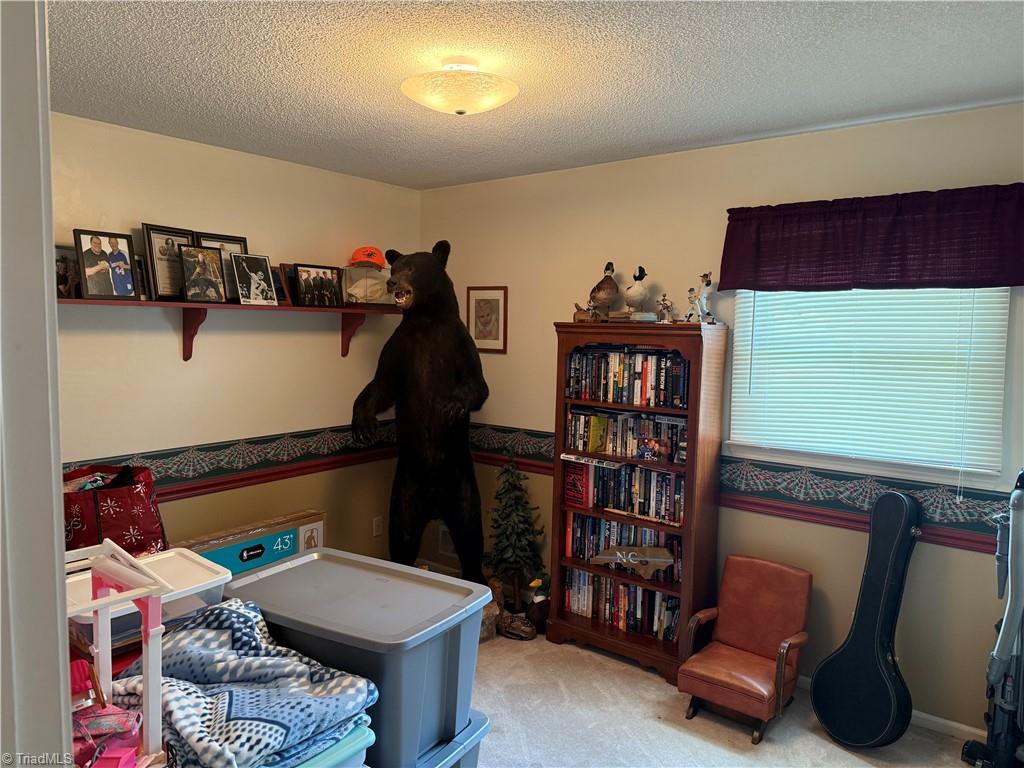 286 Raven Laurel Drive