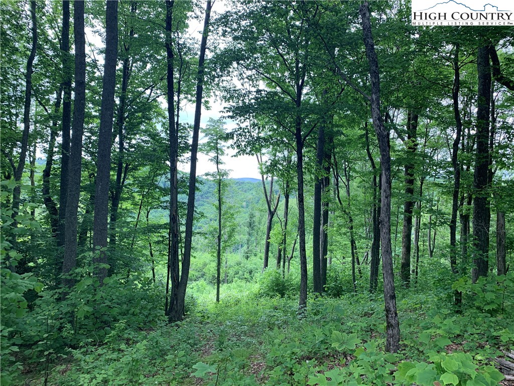 TBD Stansberry Rd/Little Horse Creek Rd Road