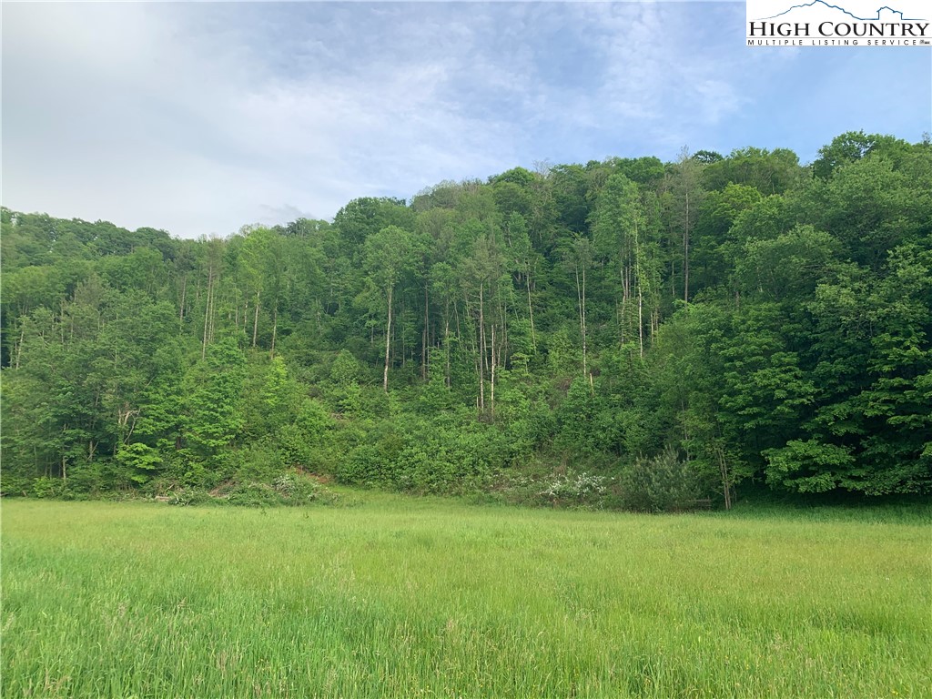 TBD Stansberry Rd/Little Horse Creek Rd Road