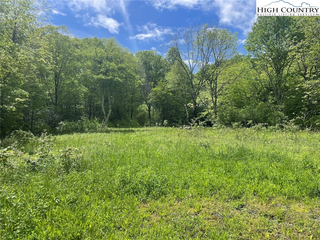 TBD Stansberry Rd/Little Horse Creek Rd Road
