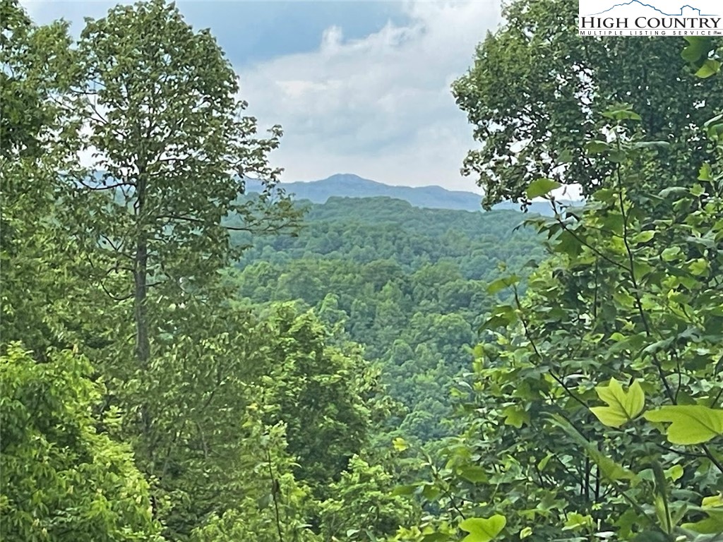 TBD Stansberry Rd/Little Horse Creek Rd Road