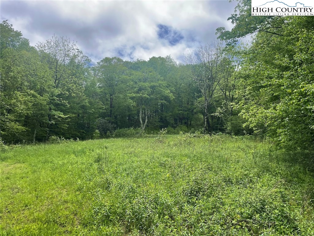 TBD Stansberry Rd/Little Horse Creek Rd Road