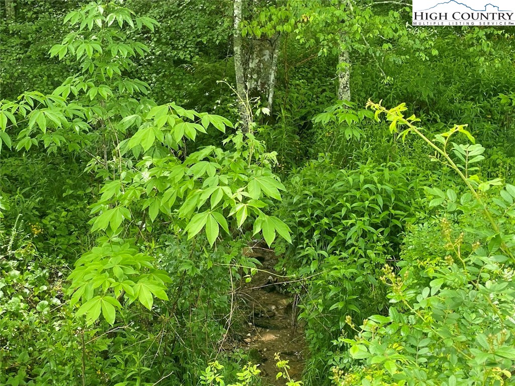 TBD Stansberry Rd/Little Horse Creek Rd Road