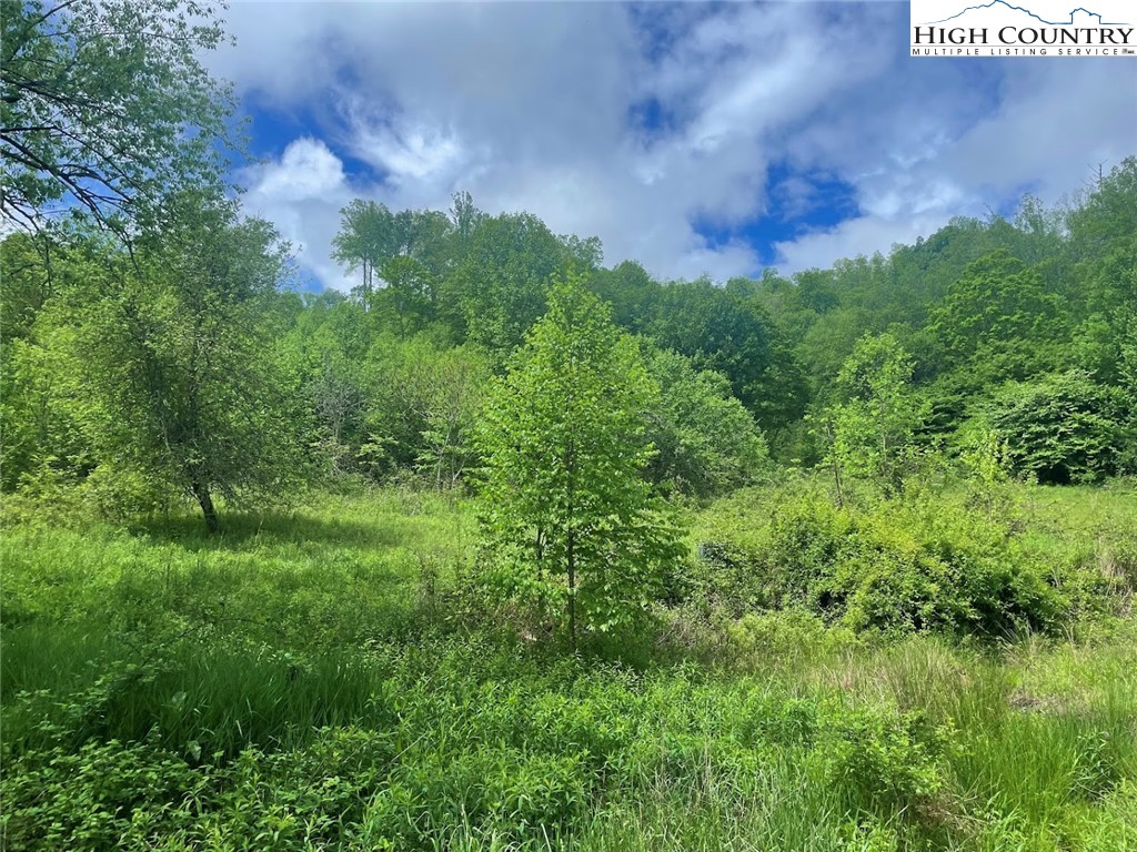 TBD Stansberry Rd/Little Horse Creek Rd Road