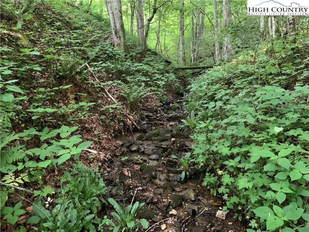 TBD Stansberry Rd/Little Horse Creek Rd Road