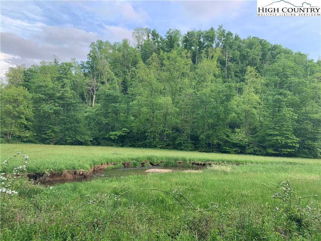 TBD Stansberry Rd/Little Horse Creek Rd Road