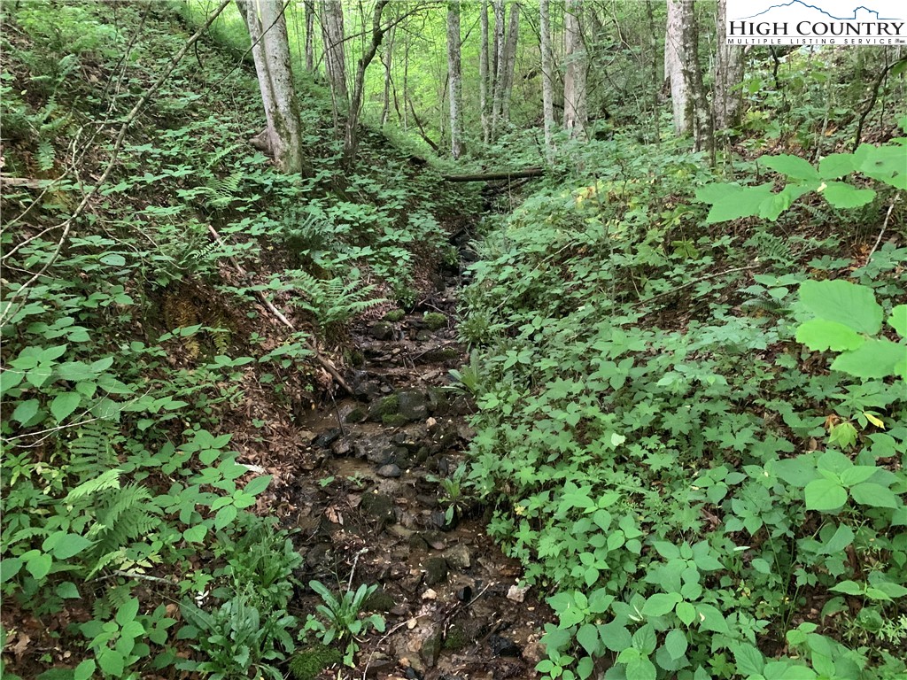 TBD Stansberry Rd/Little Horse Creek Rd Road