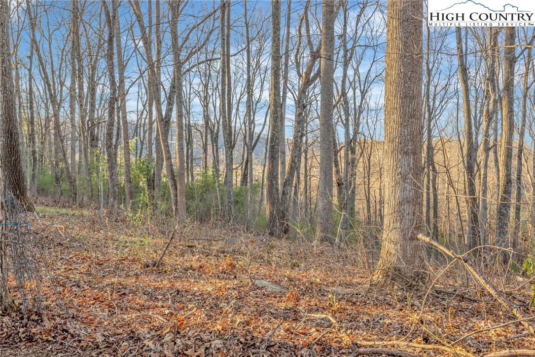 186 Witherspoon Heights Road