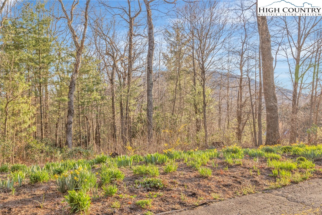 186 Witherspoon Heights Road