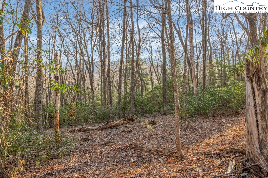 186 Witherspoon Heights Road