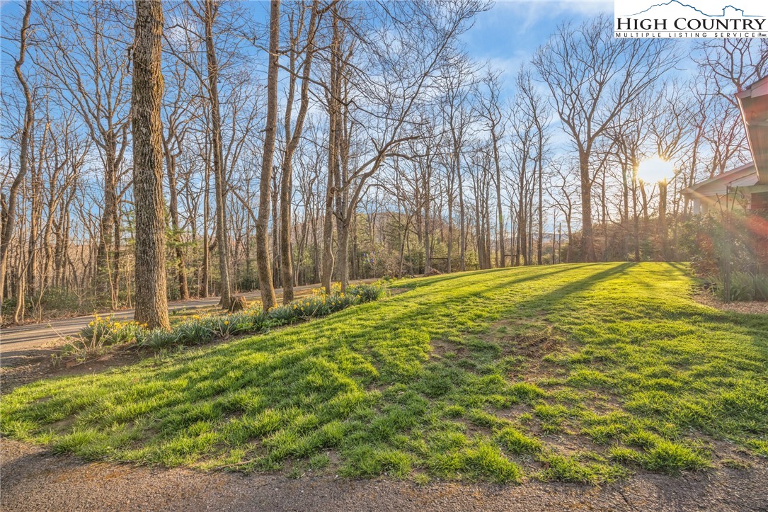 186 Witherspoon Heights Road