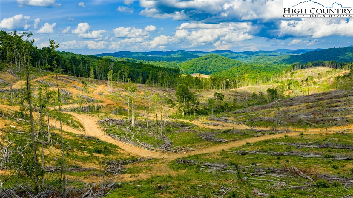 TBD Chestnut Hill #1 Road