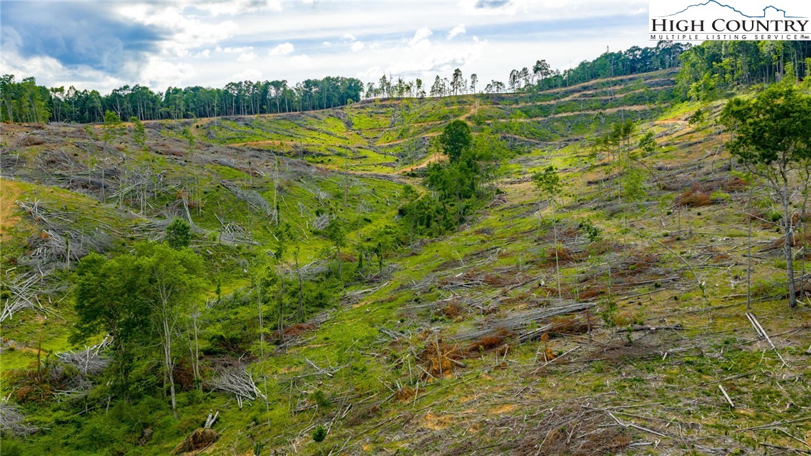 TBD Chestnut Hill #1 Road