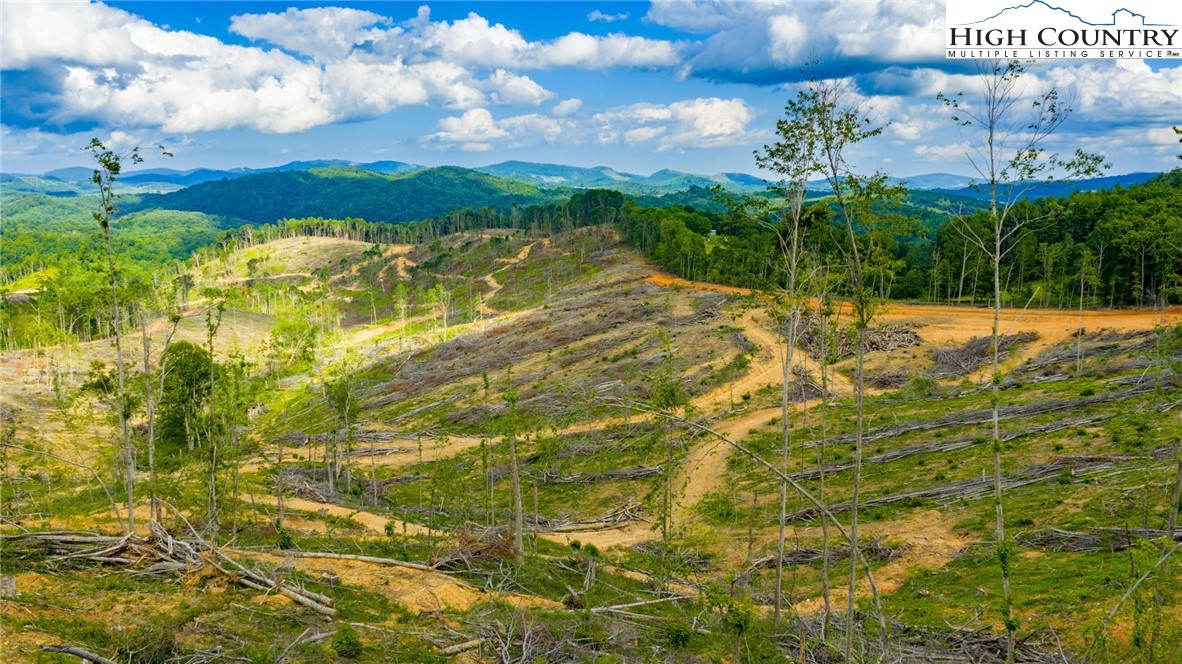 TBD Chestnut Hill #1 Road