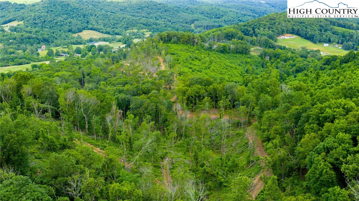 TBD Illey Mountain #2 Trail