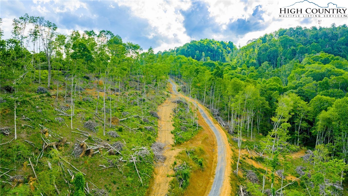 TBD Illey Mountain #2 Trail