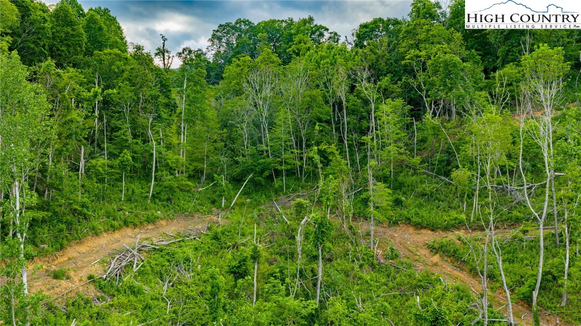 TBD Illey Mountain #2 Trail