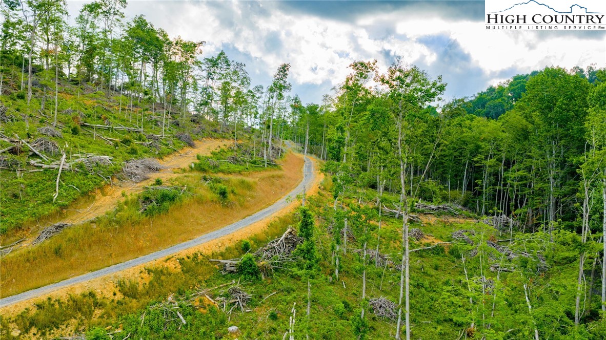 TBD Illey Mountain #2 Trail