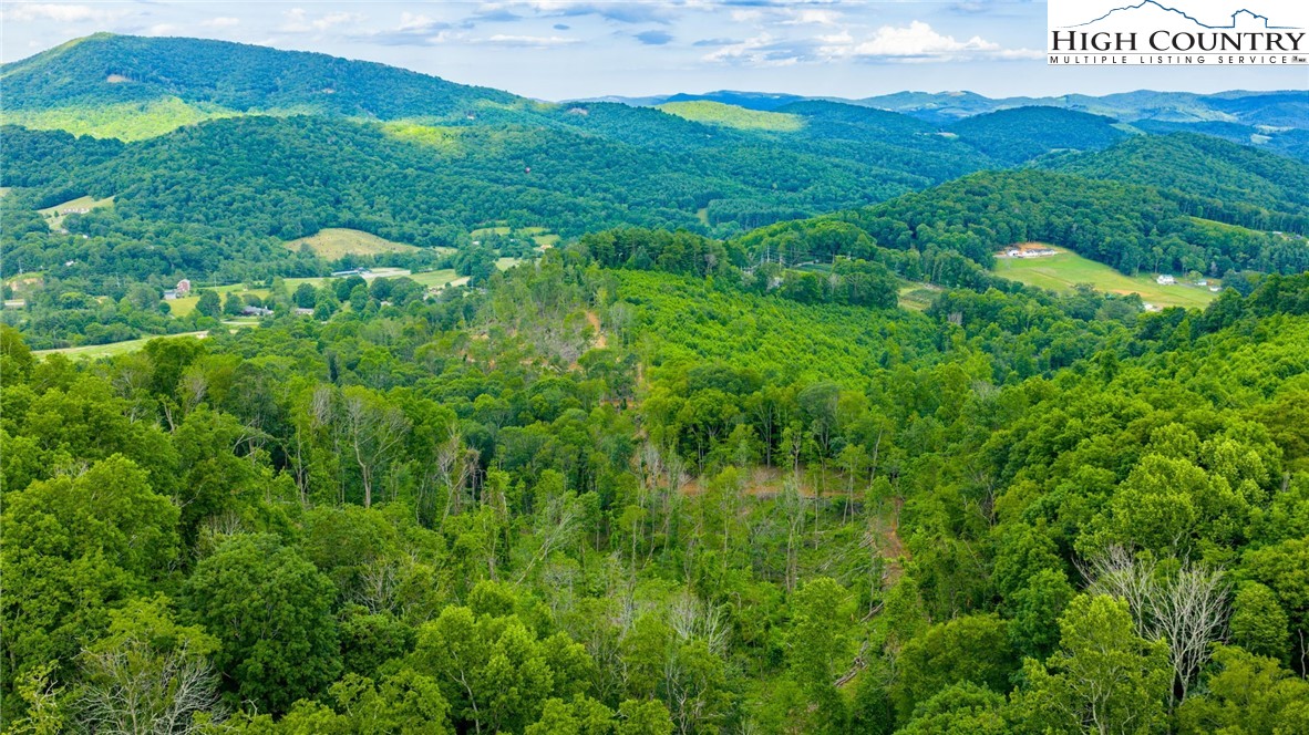 TBD Illey Mountain #2 Trail