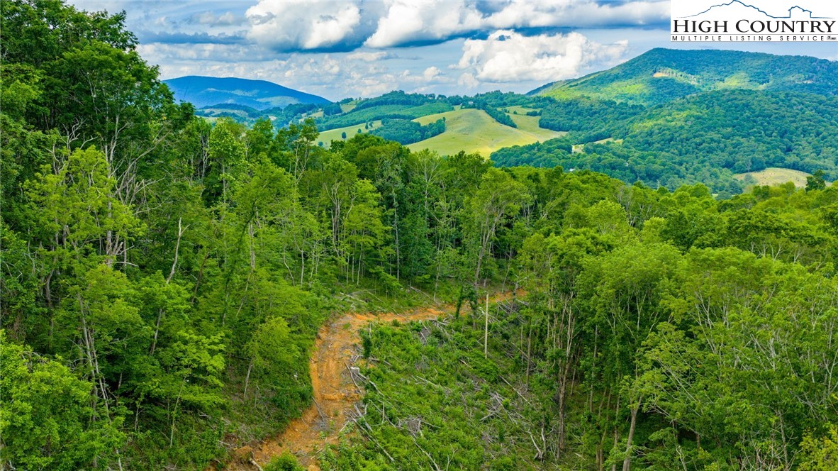 TBD Illey Mountain #2 Trail