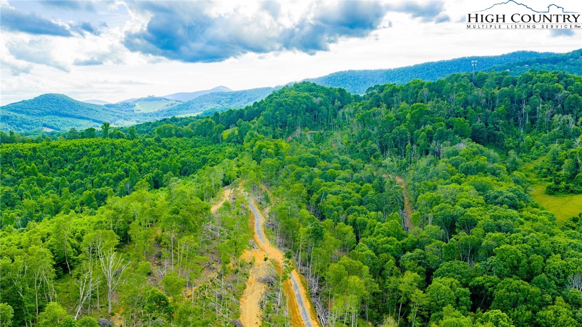 TBD Illey Mountain #2 Trail