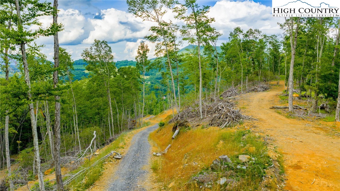 TBD Illey Mountain #3 Trail