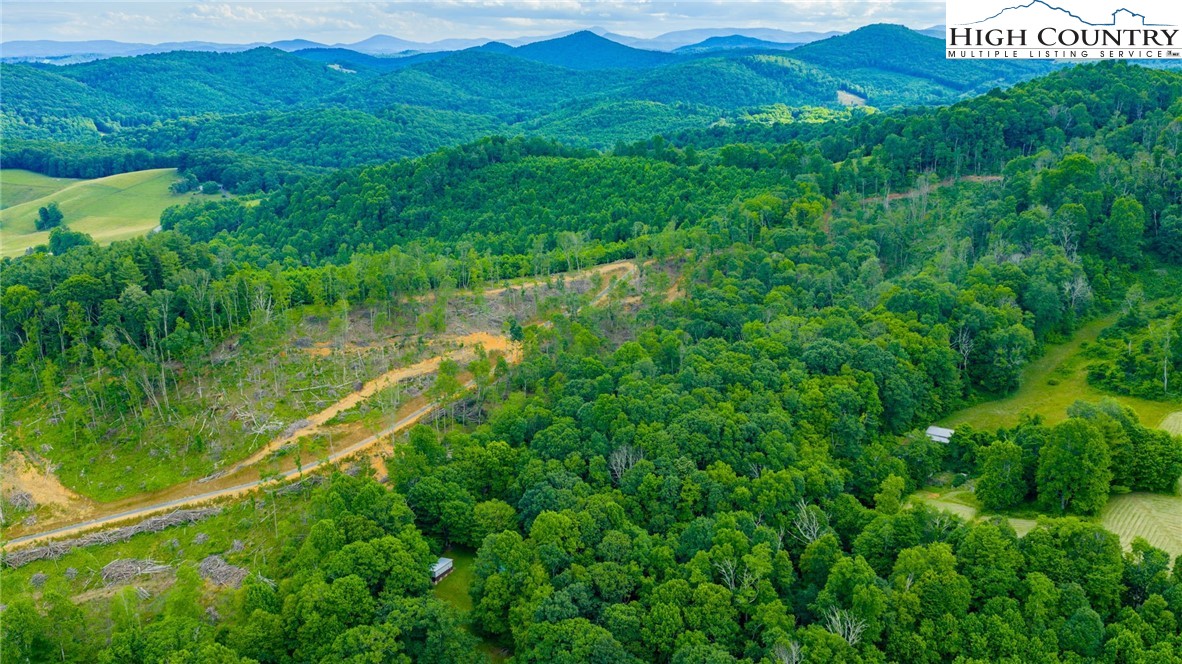 TBD Illey Mountain #3 Trail