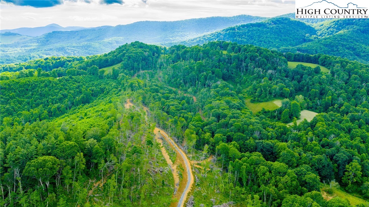 TBD Illey Mountain #3 Trail