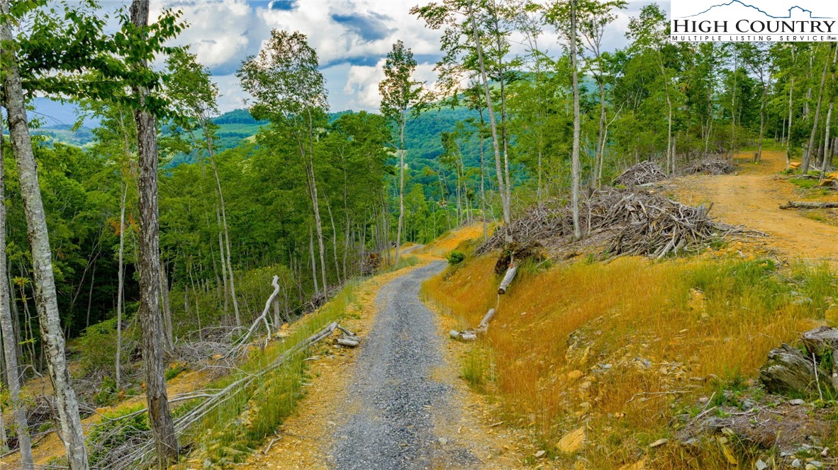 TBD Illey Mountain #3 Trail