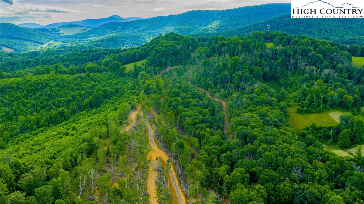 TBD Illey Mountain #3 Trail