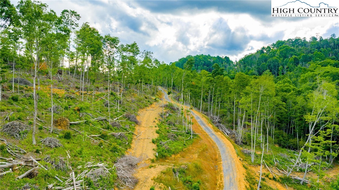 TBD Illey Mountain #3 Trail