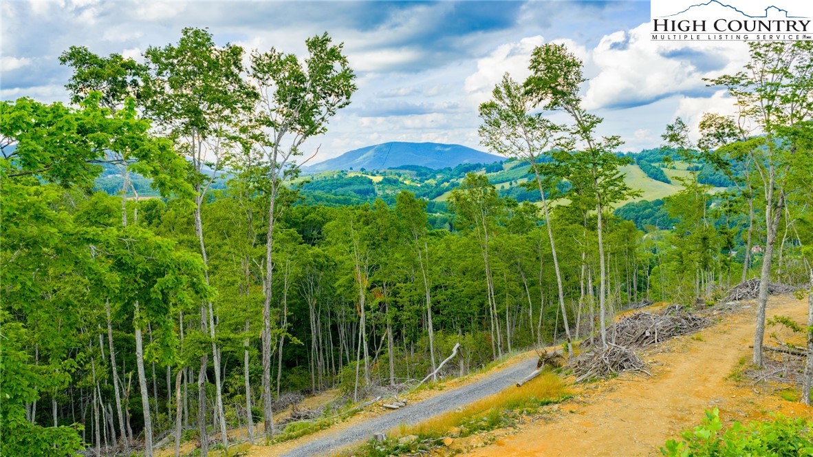 TBD Illey Mountain #3 Trail