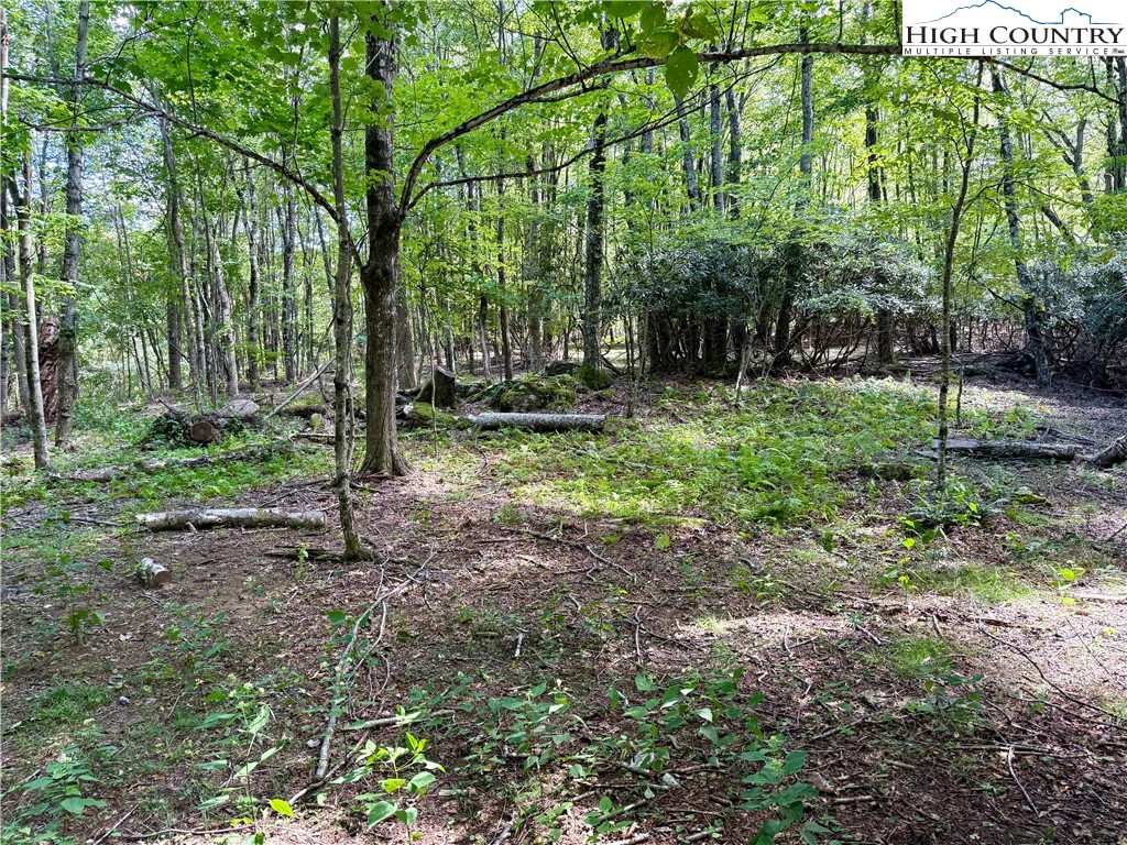 TBD Mystery Mountain Drive