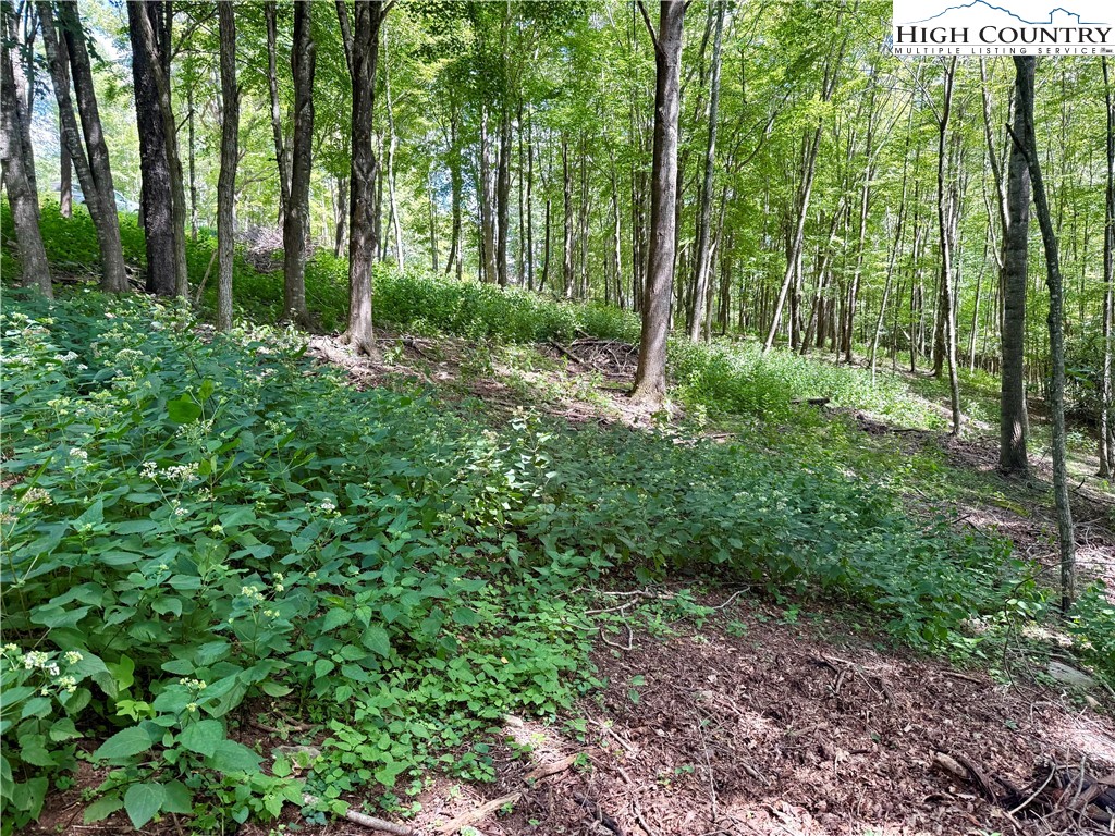 TBD Mystery Mountain Drive