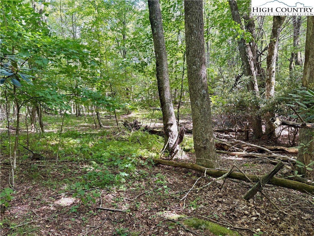 TBD Mystery Mountain Drive