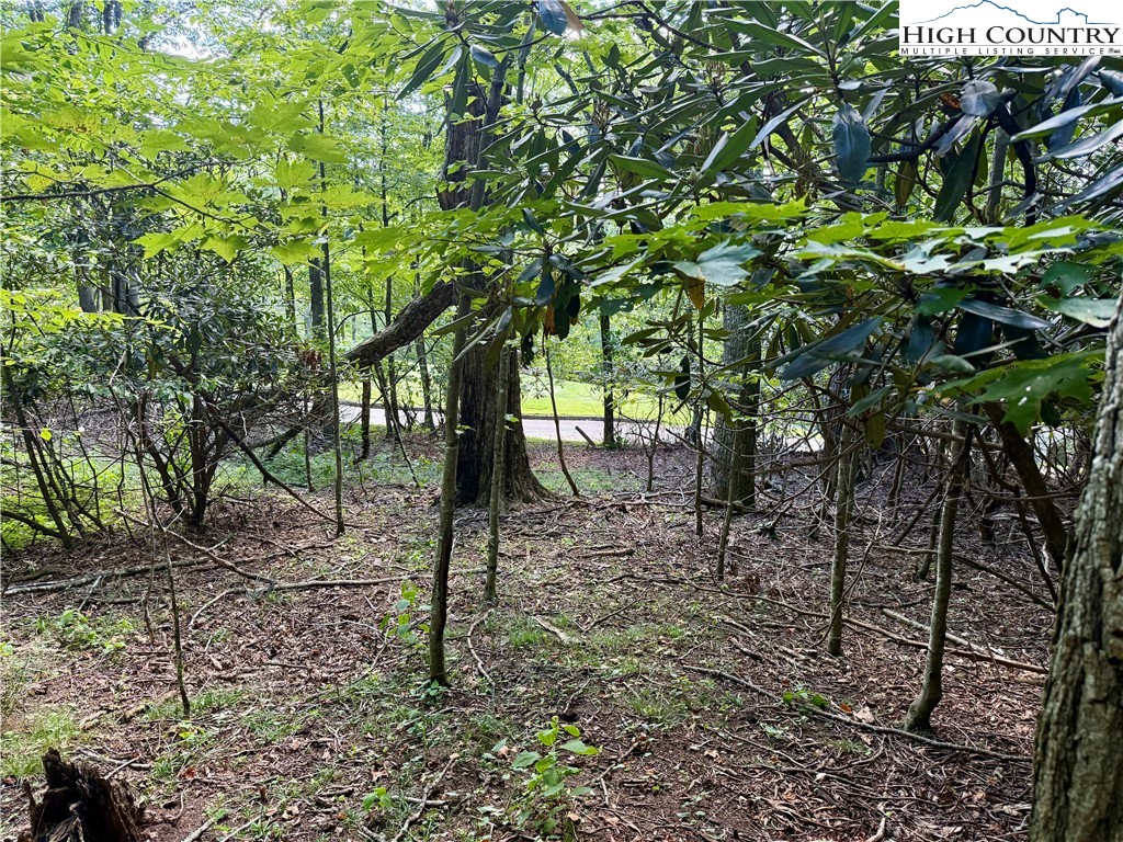 TBD Mystery Mountain Drive