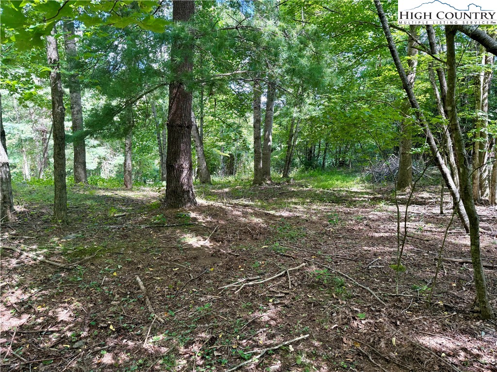 TBD Mystery Mountain Drive