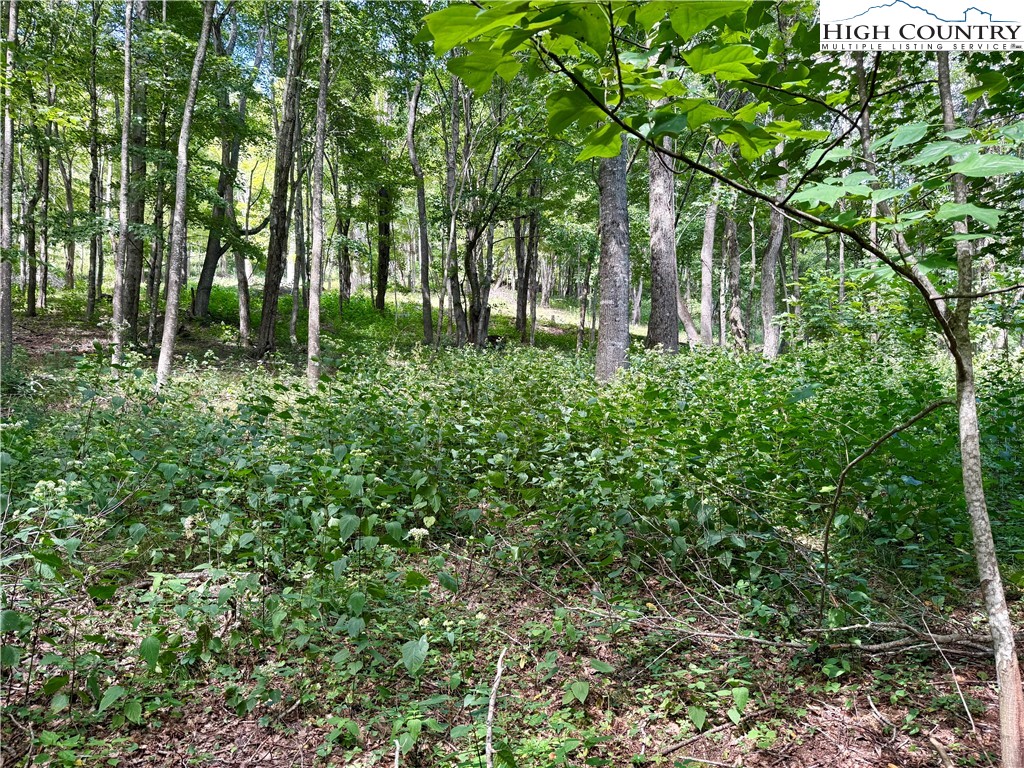 TBD Mystery Mountain Drive