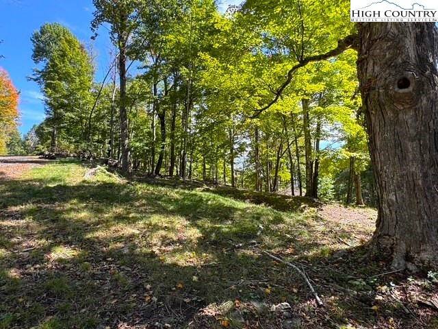 TBD Mystery Mountain Drive