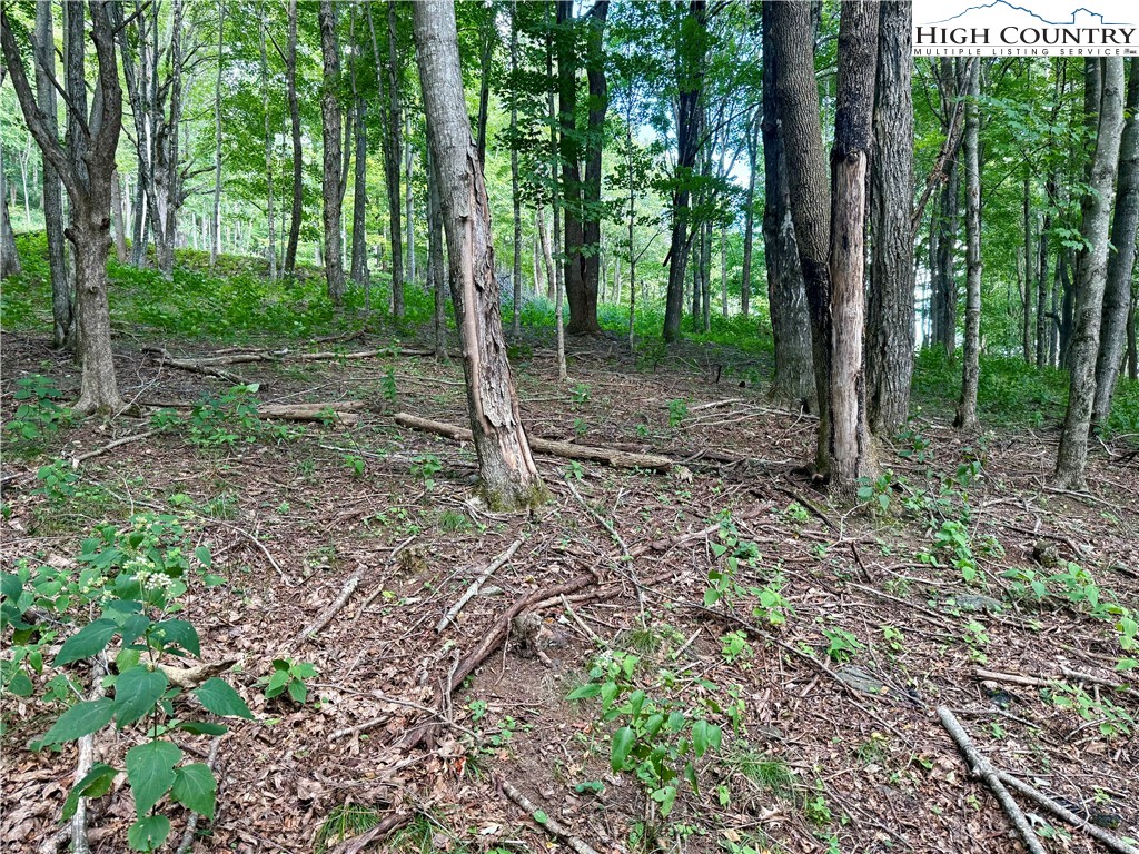 TBD Mystery Mountain Drive