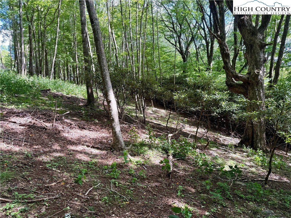 TBD Mystery Mountain Drive